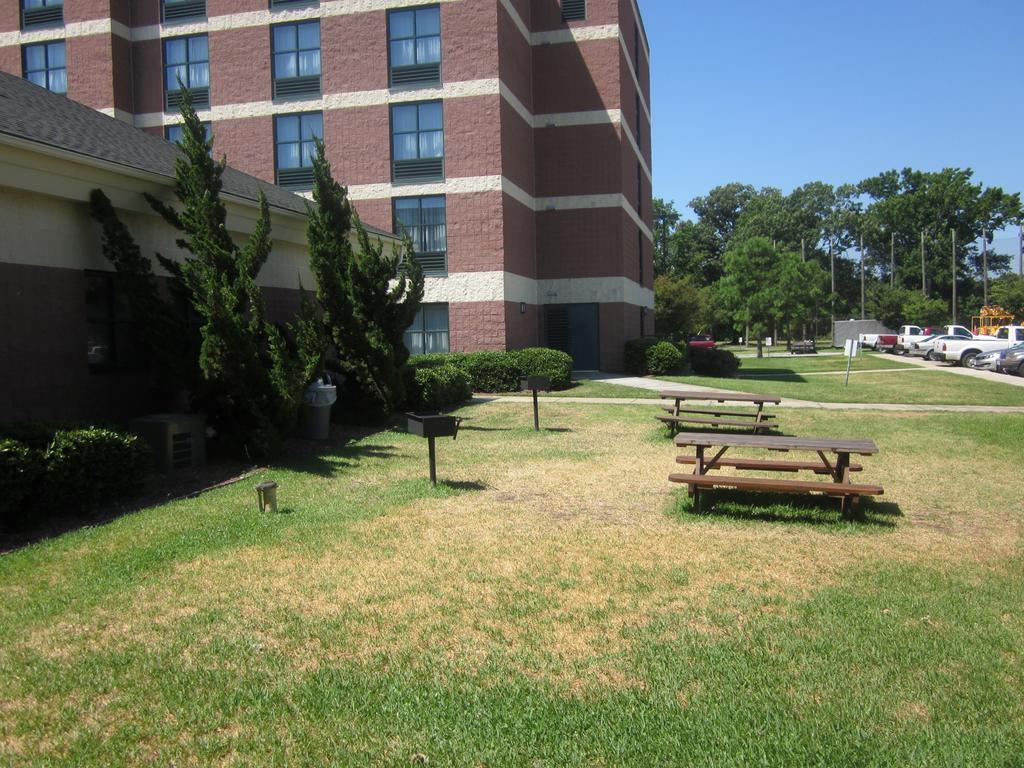 Sleep Inn Lake Wright - Norfolk Airport Zewnętrze zdjęcie
